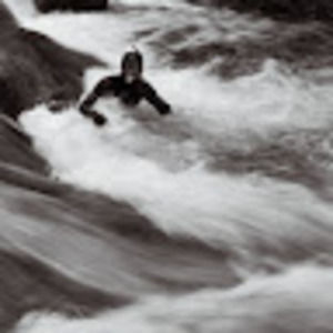 Meet your Posher, Robin